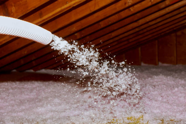Best Residential Insulation in Riverview, DE