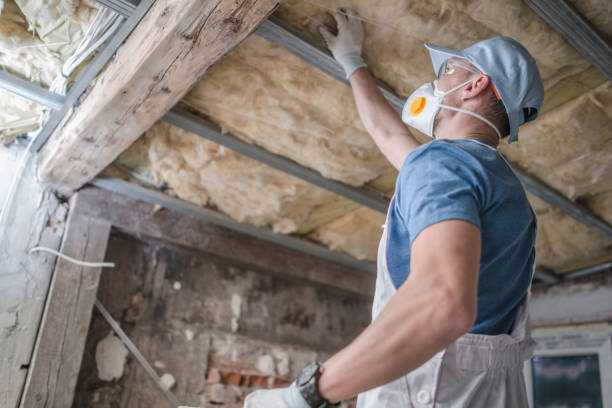 Best Eco-Friendly Insulation in Riverview, DE