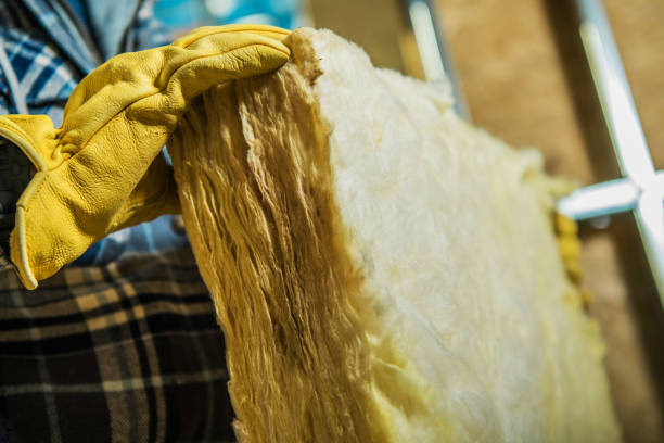 Best Blown-in Insulation in Riverview, DE