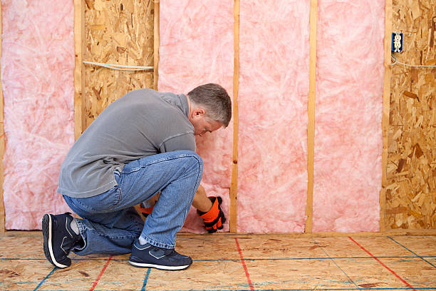 Best Insulation for Specific Applications in Riverview, DE