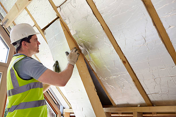 Best Cellulose Insulation in Riverview, DE