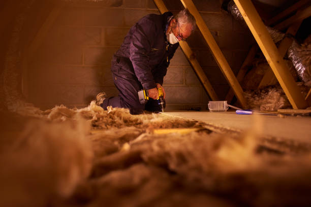 Best Insulation Maintenance and Repair in Riverview, DE
